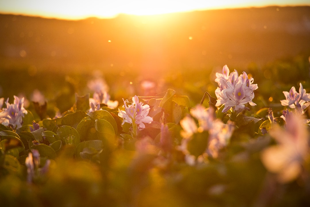 Terrassevarmere: Gør Din Udendørs Plads Behagelig